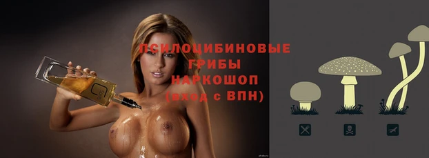 винт Михайлов