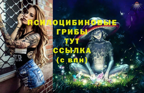 спиды Наволоки