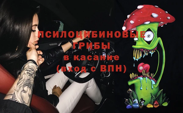винт Михайлов