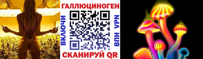 наркота  Медынь  Галлюциногенные грибы Psilocybe 
